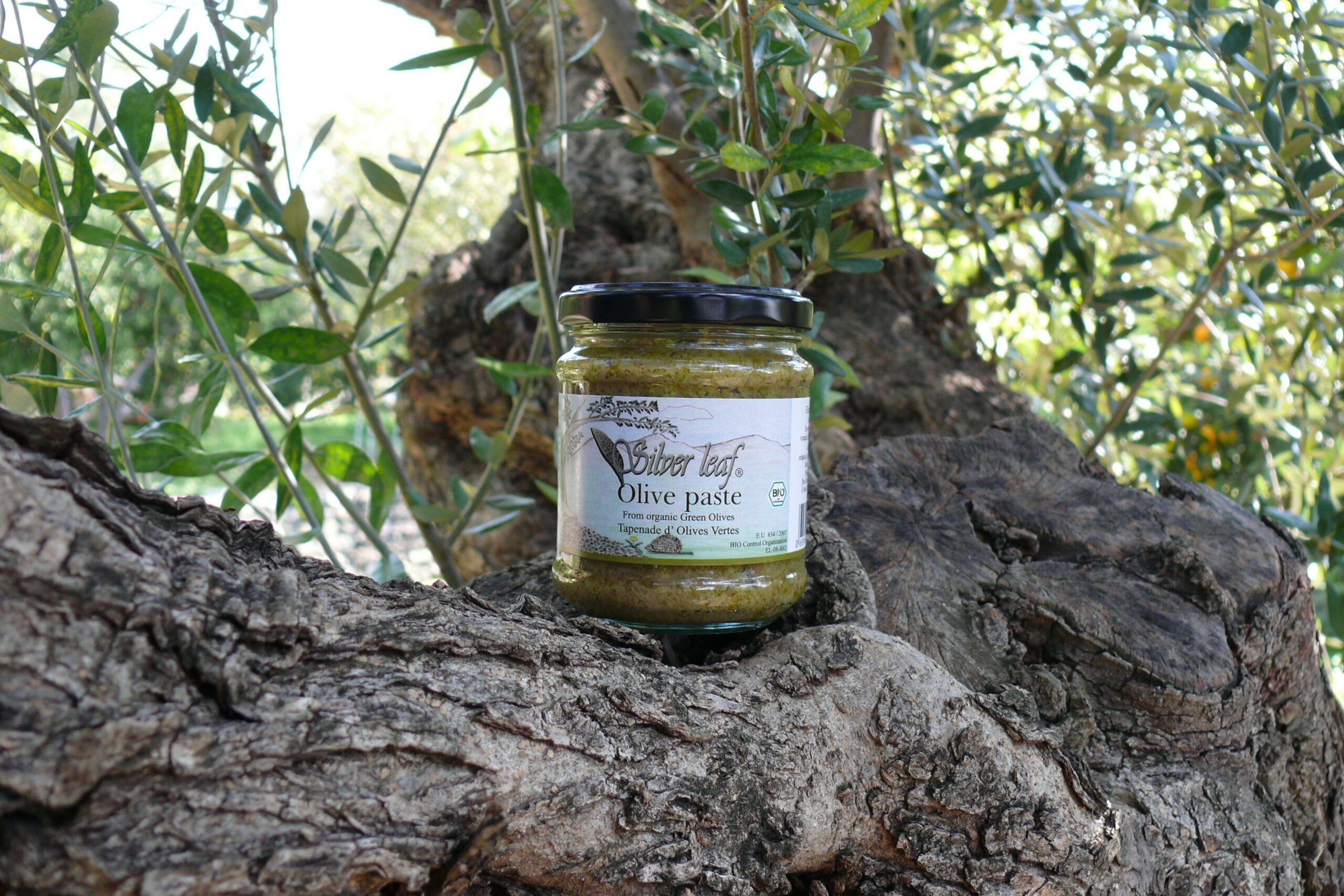 Tapenade aux olives vertes bio – Image 4