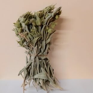 Thé des montagnes ou "Tsaï tou vounou"